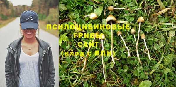 соль ск Переславль-Залесский