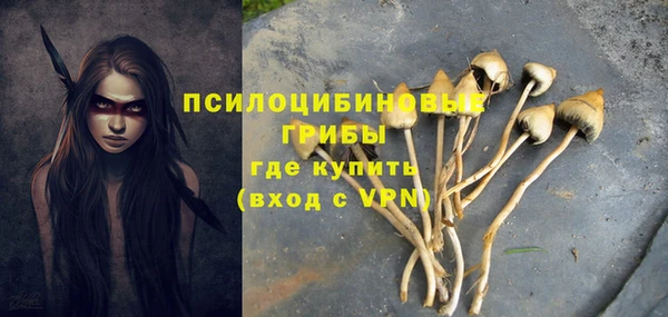 прущая мука Билибино
