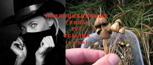 гашиш Пересвет