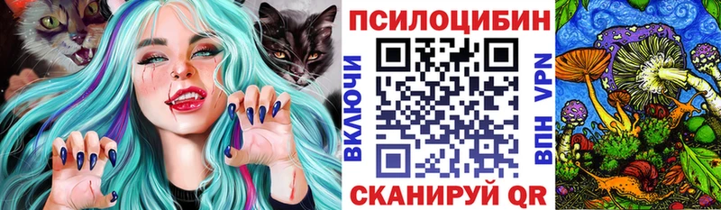 где можно купить наркотик  Мостовской  Псилоцибиновые грибы Cubensis 